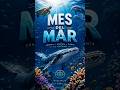 🐬Los Delfines Más Hermosos del Mundo✨Relajación Oceánica 528Hz/🐬The Most Beautiful Dolphins #528