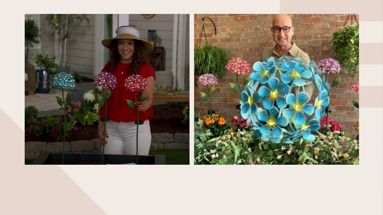 Ultimate Innovations Solar Hydrangea Garden Stake on QVC