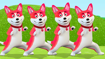 Rửa Mặt Như Mèo - Liên Khúc Nhạc Thiếu Nhi Chú Mèo Con