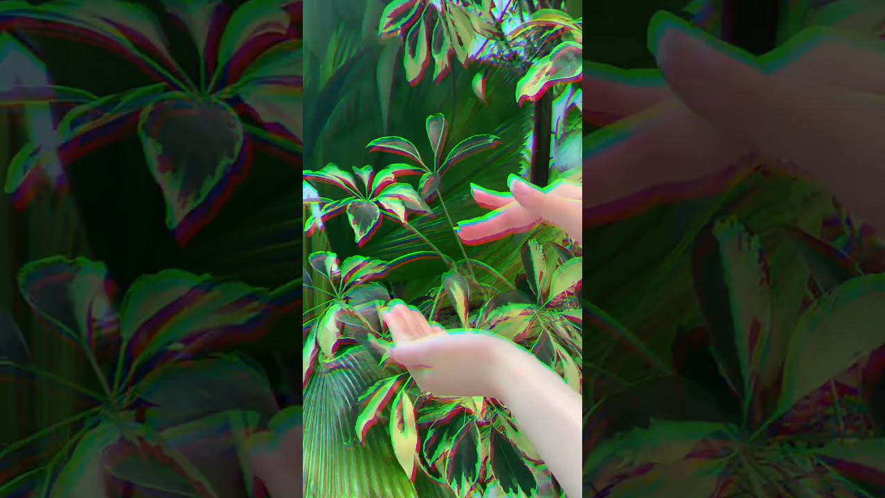 Discover the power of 