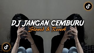 DJ Jangan Cemburu X Pipi Mimi X Ciro Ci Ciro - ( Slowed & Reverb ) 🎶
