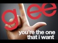 You&#39;re The One That I Want (FINCHEL Version)