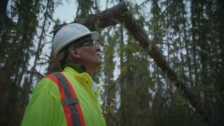 The Six Principles of Sustainable Forestry