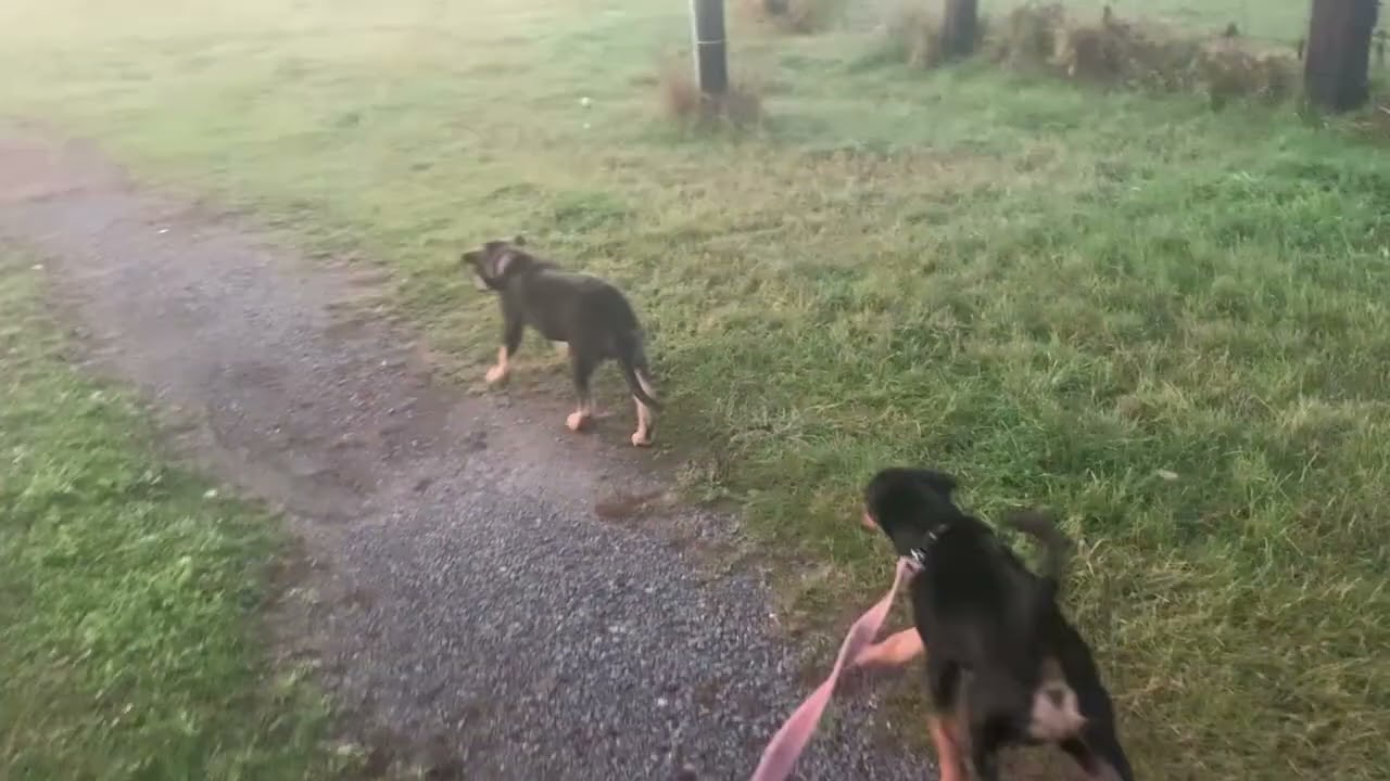 Oct 20 and 21 and 22 2025