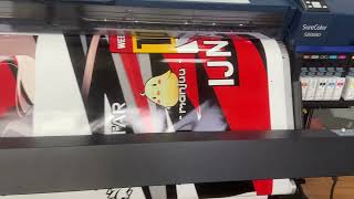 Ayanami Azur Lane Custom Design Anime Itasha Car Wrap Printing Process Video