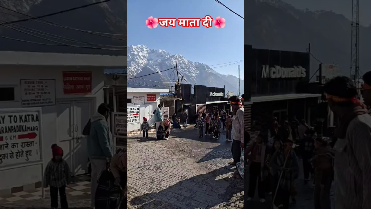 ओ प्रेम से बोलो जय माता 🙏🏻 #vaishnodevidairies#vaishnodevitrip#vaishnodevi #shorts #video #viral