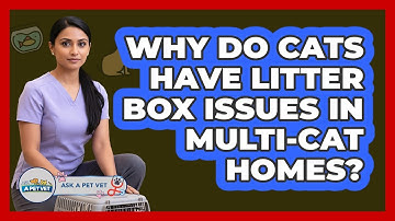 Why Do Cats Have Litter Box Issues In Multi-cat Homes? - Ask A Pet Vet