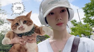 귀여운 고양이 키우는 집순이 vlog | 고양이 사료 기호성 테스트 | 수제 함박 스테이크 만들기 | 공차 추천 메뉴 | 생각의 배신