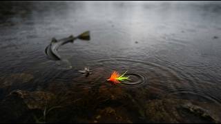 Fishing Murky Water: What Actually Works