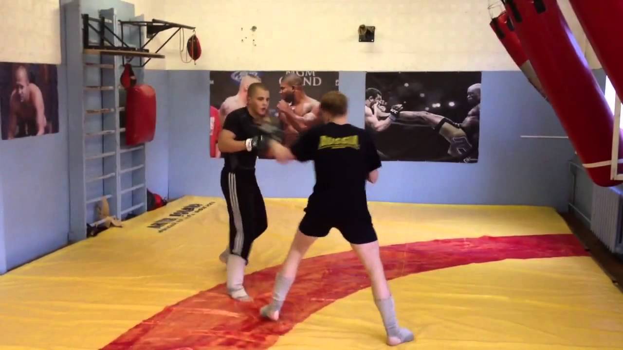 Saizen 10me ���� ����: ����.