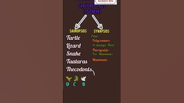 Geological Time Scale Simplified NCERT Table - NEET Biology