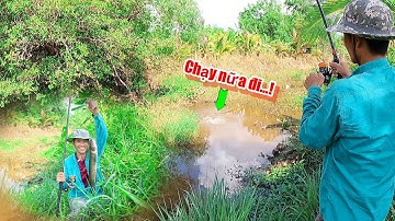 CÂU CÁ LÓC Ở BÌA RỪNG U MINH HẠ || KÊNH RÚT NƯỚC VẨN CÒN CÁ || DU PHAN FISHING