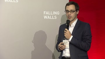 Denis Belov, Arina Software, at Falling Walls Venture 2017