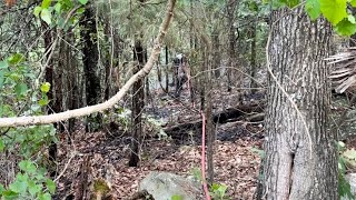 Video: Yell County District 1 Fire Departments fight structure fire and wild land fire on Mt. Nebo