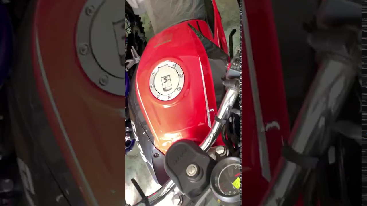 Super Gato CG 300 2019 2020 YouTube super-gato-cg-300-2019-2020-youtube