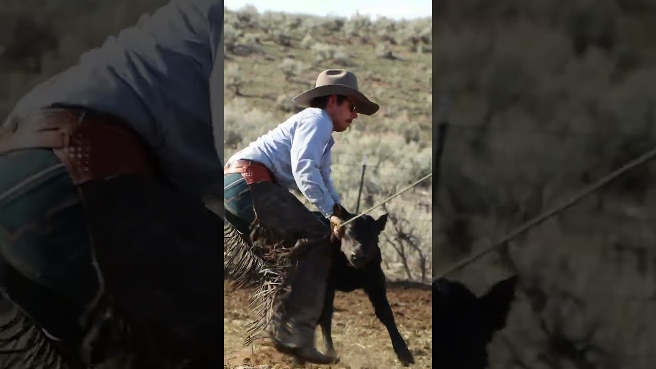 Long Live This Way of Life