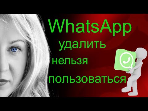 Новые правила политики конфиденциальности и условий предоставления услуг WhatsApp (ВатсАп)