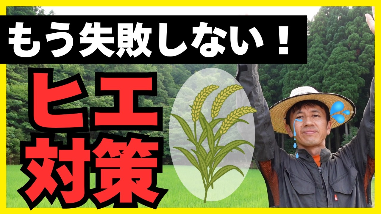 【完全ガイド】米農家の宿敵「ヒエ」対策の全て。除草剤の正しい使い方から最新技術まで解説