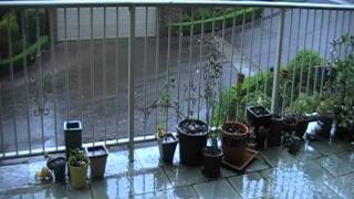 Hail Baulkham Hills 2009
