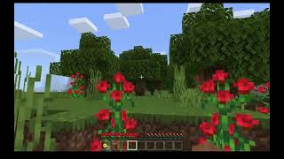 YouTube Minecraft Camp: How to Make a Wooden Block by Sage