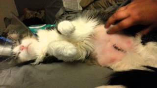 Itchy stitches