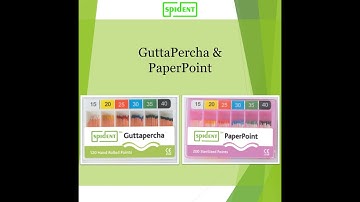 [SPIDENT] 2020 GP & PP - Product Introduction