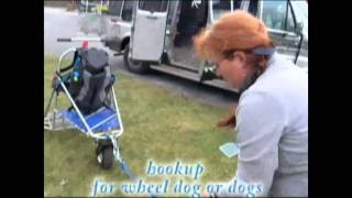 Mushing 101 part 2