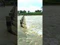 Har Har Shivshankar song Status Video || #shorts #viral