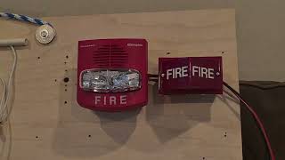 Simplex 4903-9426 and 2904-9005 on Temporal