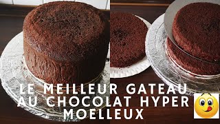 MOLLY CAKE AU CHOCOLAT FACILE ET RAPIDE - MES 3 SECRETS POUR UN MOLLY CAKE 100% REUSSI??