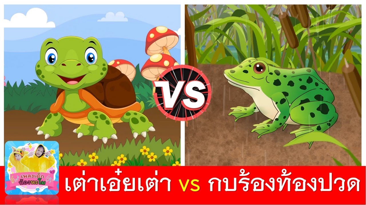 เต่าเอ๋ยเต่า vs กบร้องท้องปวด | เพลงเต่า | เพลงกบ | กบเอยทำไมจึงร้อง