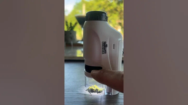 How to use the mini microscope     🌱🔬👀 #bestkidstoys #microscope #scienceathome