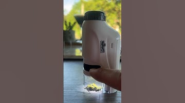 How to use the mini microscope     🌱🔬👀 #bestkidstoys #microscope #scienceathome