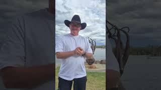 Week 44 Update Brian McManus RealEstate