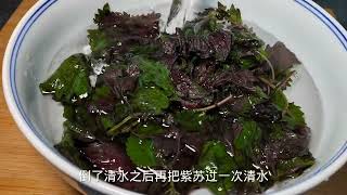 吃不完的紫苏做成紫苏酱菜，开胃极了，放半年不会坏，快试试