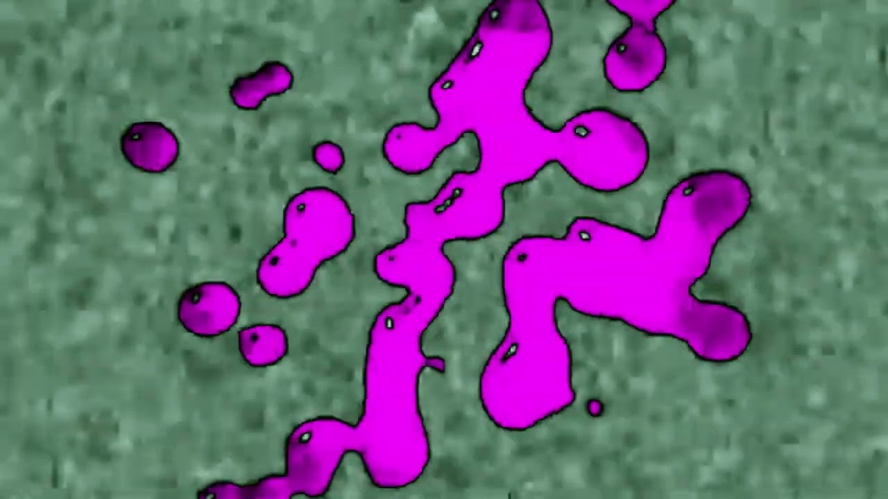 This is so dumb Csupo Effects [Inspired by Ecuavisa Csupo Effects]