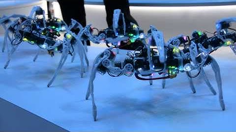Intel dancing spider robots
