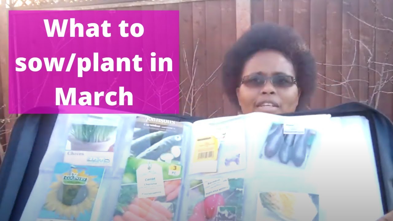 What To Sow/Plant In March - Gardening UK - YouTube