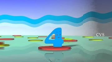 Learn Numbers for children ( Numbers Song) - 3D Animation rhyme