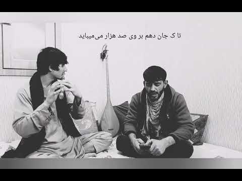 حاصل من از دنیا توله جدید