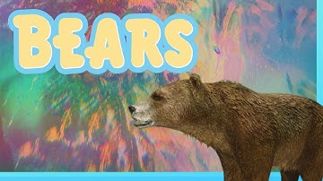 Atlas | How to Spawn a Bear w/ admin commands