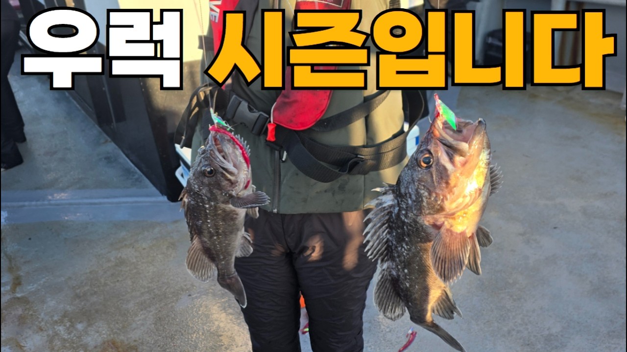 우럭 잡으러 오세요 (우럭 라이트지깅)