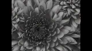 Download Lagu World of bass - Likhe jo khat tujhe - remix MP3