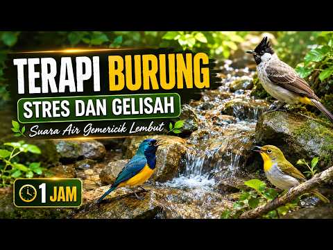 Terapi Burung Stres dan Gelisah Agar Cepat Kicau