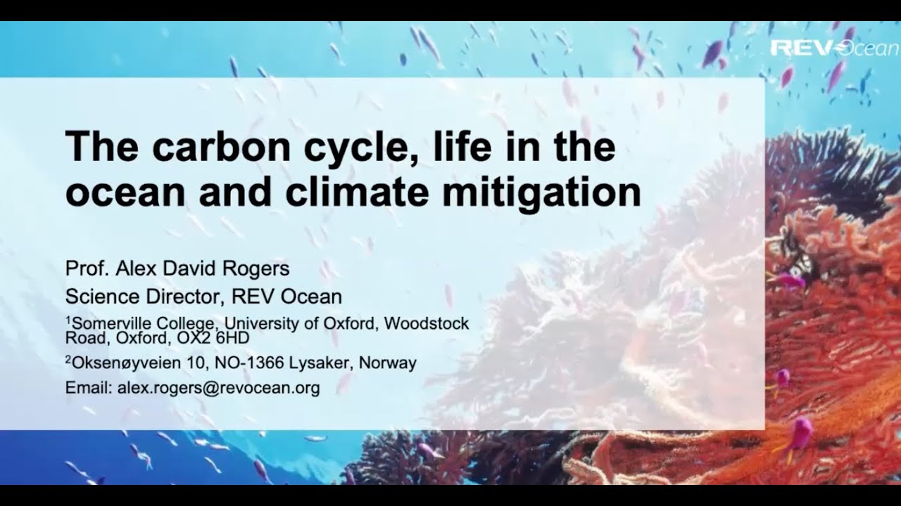 Alex Rogers: The carbon cycle, life in the ocean and climate mitigation