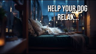 Help Your Dog Sleep: 1Hour Japanese Spitz  Lofi Music  with Soft Relaxing Rain Storm Sounds☔