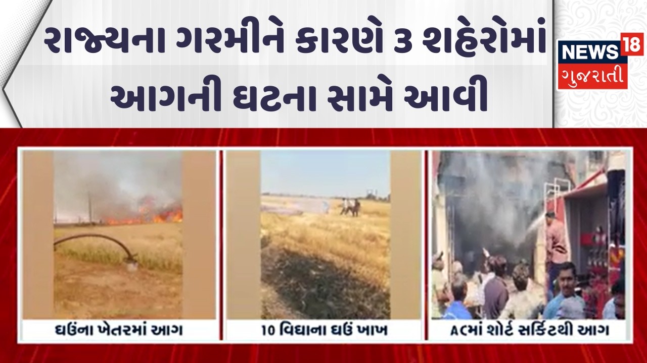 Gujarat Fire Incident | રાજ્યના ગરમીને કારણે 3 શહેરોમાં આગની ઘટના સામે આવી | Farm | Fire Brigade