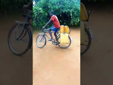 May 16 2025 May 16 2025