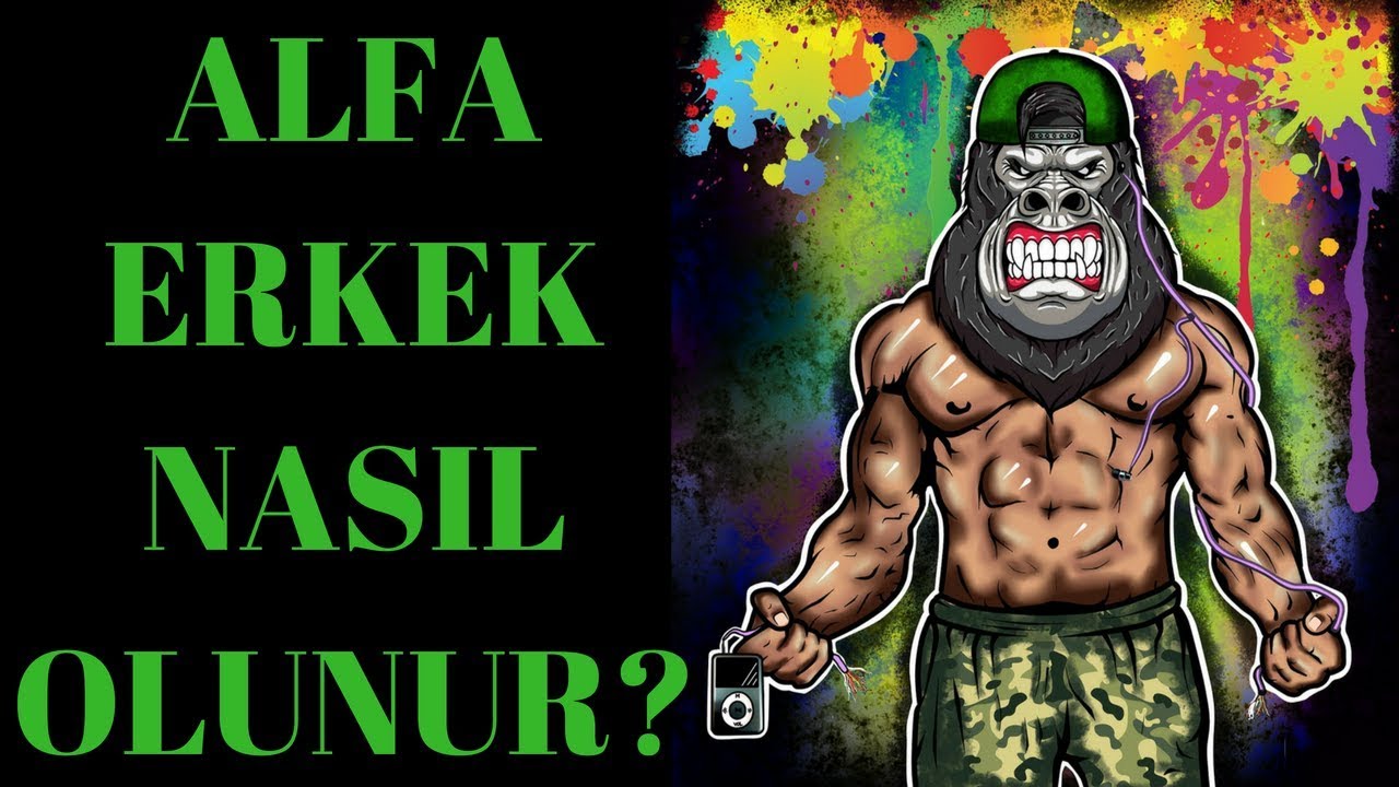 Alfa Erkek Nasıl Olunur? Lider Erkek Olmak - YouTube