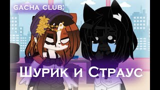 | Уральские Пельмени | Шурки и Страус | РП Коты-Воители | Gacha Club |